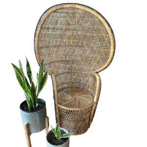 Rattan Throne Chair